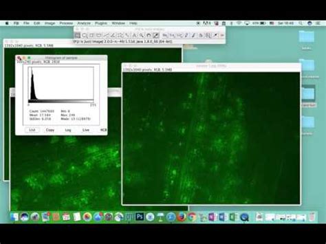 Image result for Measuring Fluorescence Intensity ImageJ