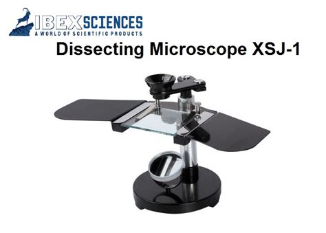 Image result for Dissecting Microscope