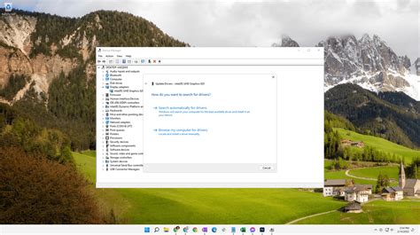 Update Driver Software Device Manager 的图像结果