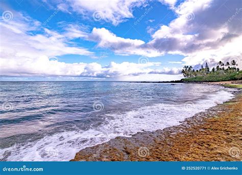 Laniakea Beach Turtle Beach on the North Shore, Oahu, Hawaii Stock ...