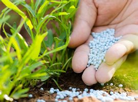 Talcher Fertilizers Limited