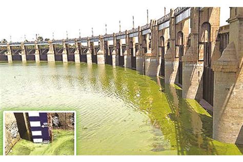 Mettur dam storage reaches 100 feet mark