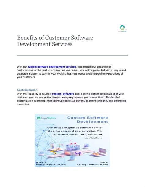 Customer Software Development 的图像结果