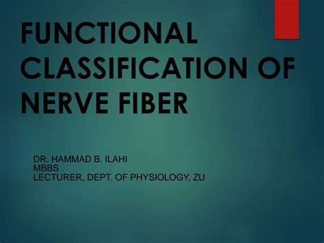 SOLUTION: Functional classification of nerve fibers upload - Studypool