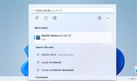 MySQL Workbench for Windows 的图像结果