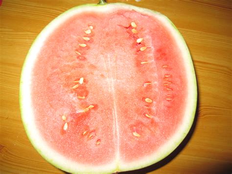 西瓜籽的作用和功效 吃西瓜子有哪些好处 - 鲜淘网