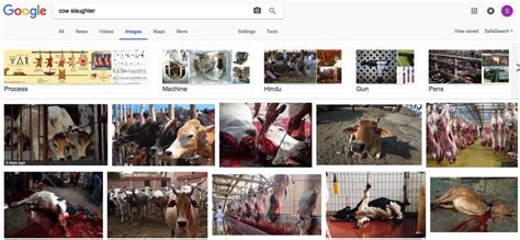 As If the Public Killing of a Cow Wasn't Gory Enough, Here Comes a Fake ...
