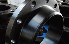 Image result for Classification Paragraph Examples PDF