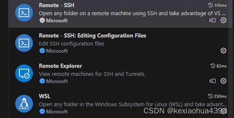 Windows Containers SSH 的图像结果