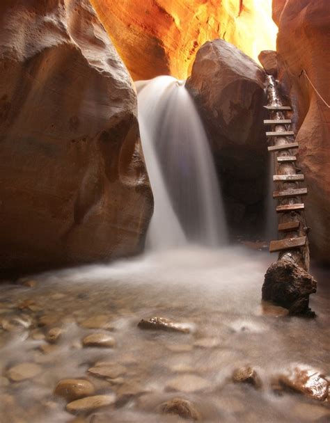 Amazing Views Adventure 的图像结果