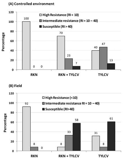Divergent Responses of Tomato Cultivars with Resistance to Tomato ...