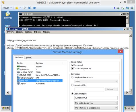 windbg调试Windows服务或远程调试设置 | d1nn3r