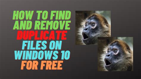Image result for Remove Duplicates Files On Computer Free