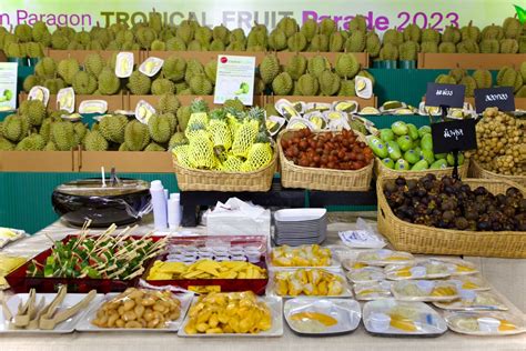 It's mango season: A guide to the best mangoes in Thailand | Thaiger