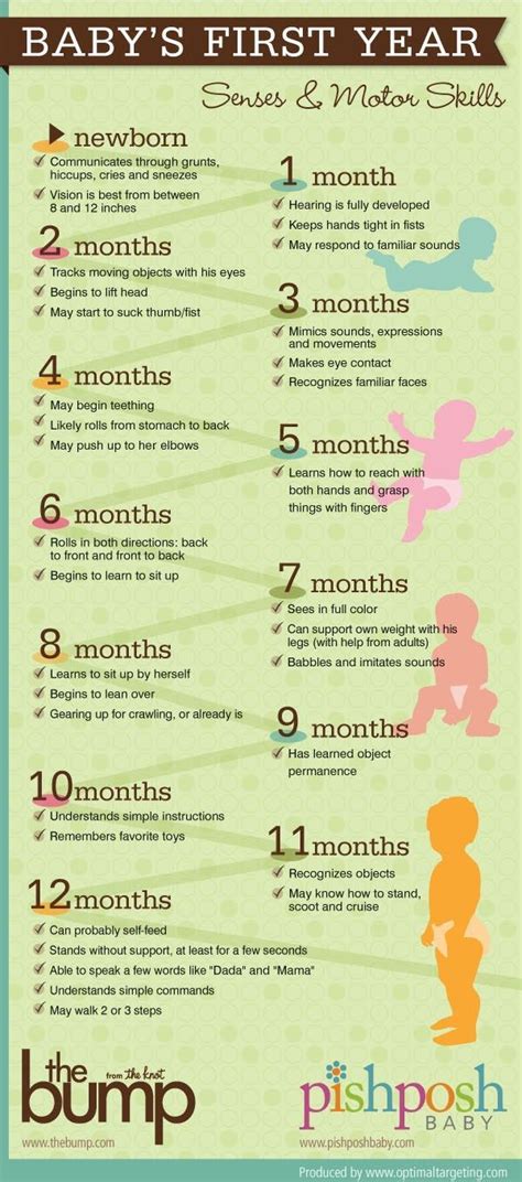 Baby Developmental Milestones and Chart | Baby advice, Baby development ...