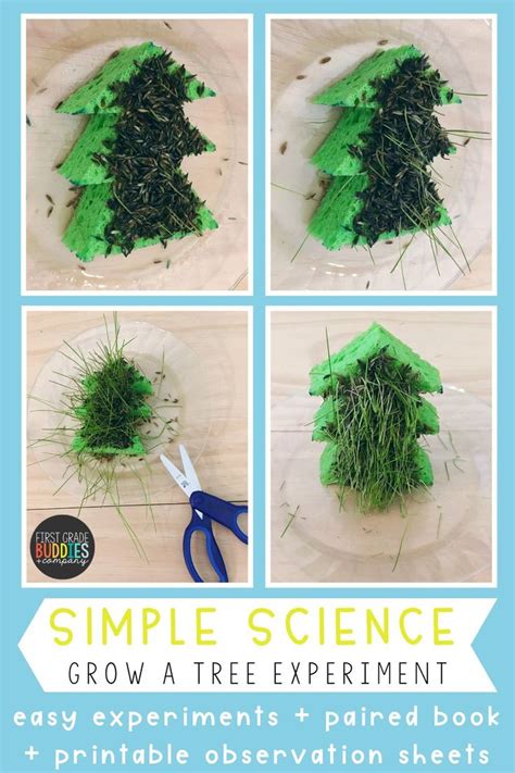 Image result for Science Tree