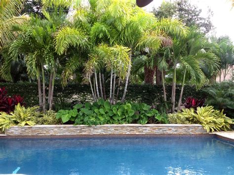 Creating a tropical oasis with limited space can be challenging for ...