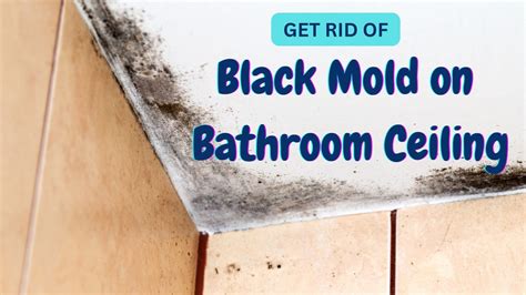 How To Get Rid Of Black Mold On Bathroom Ceiling | Shelly Lighting