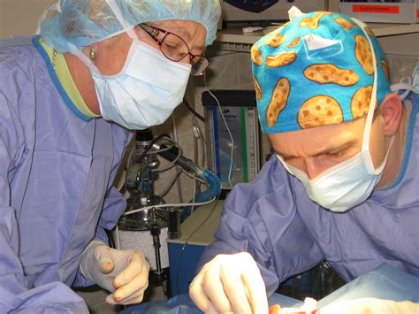 About Us | Framingham Animal Hospital