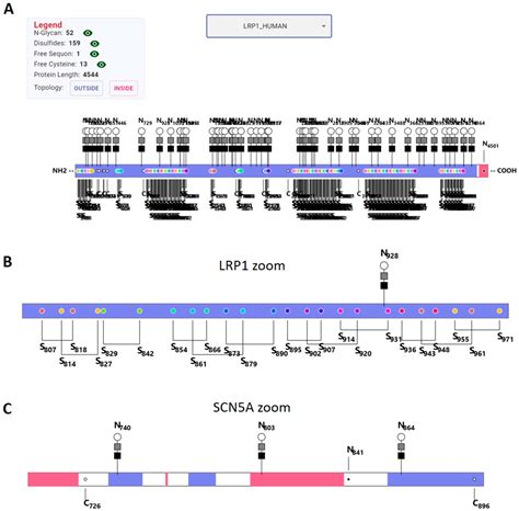 Discovery and Visualization of the Hidden Relationships among N ...