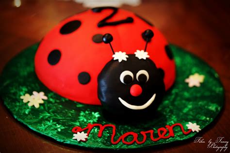 Making a Ladybug Cake 的图像结果