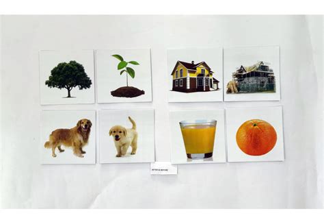 After And Before cards – Vyvic Educational Needs