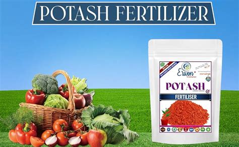 Erwon Potash Fertilizer, Pure, Premium Powerful Fertilizer For Overall ...