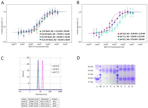 Virus-Like Particles Produced Using the Brome Mosaic Virus Recombinant ...