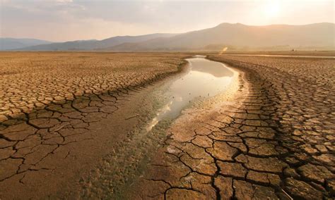 Droughts in the US: Which States are at the Highest Risk? - A-Z Animals