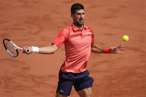 novak djokovic wins semifinal match against carlos alcaraz in french ...