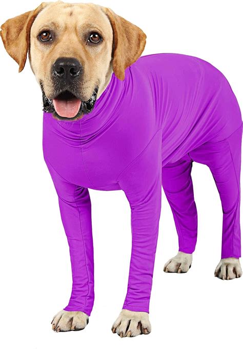 Amazon.com: Etdane Recovery Suit for Dogs Surgery Suit Female Spay Dog ...