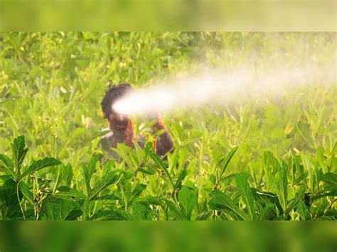 Cropin: Agri startup Cropin says it has set up AI Labs to compute ...