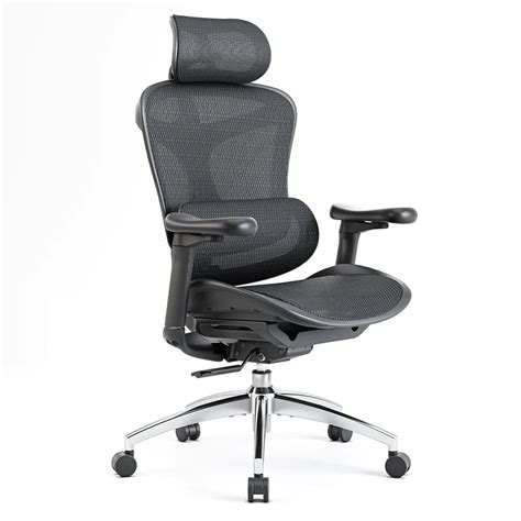 Sihoo Doro C300 Ergonomic Office Chair – EU Sihoo official Shop