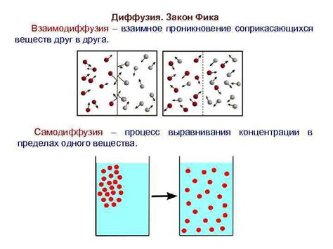 ЛЕКЦИЯ 19 Явления переноса Понятие о физической