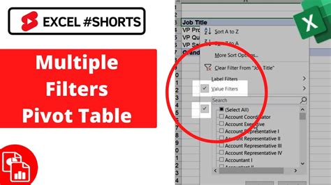 Image result for PivotTable Multiple Filters