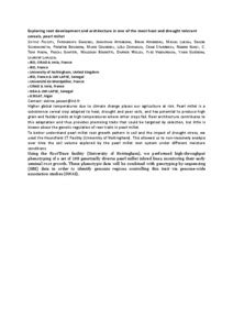 Exploring root development and architecture in one of the most heat and ...