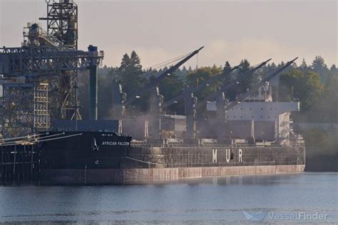 AFRICAN FALCON, Bulk Carrier - Details and current position - IMO ...