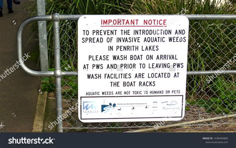 Prevent Introduction 的图像结果