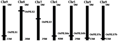 Genes | September 2015 - Browse Articles