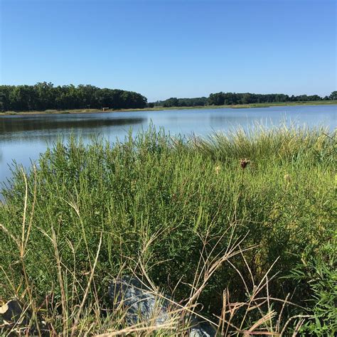 BOMBAY HOOK NATIONAL WILDLIFE REFUGE (2025) All You Need to Know BEFORE ...