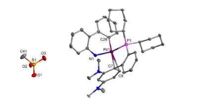 Development of Ligands for Metals and Metal-Catalyzed Reactions | IITBombay