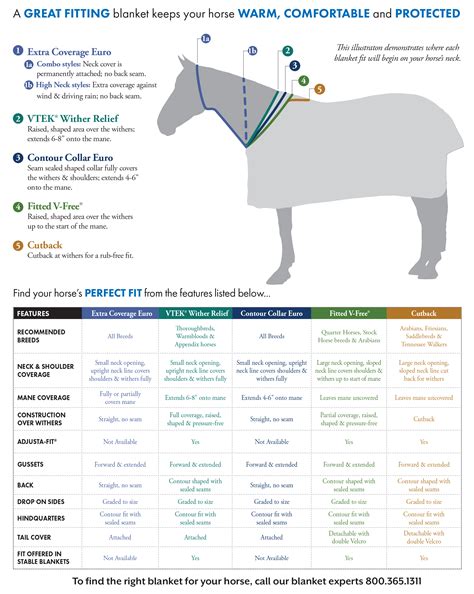 Horse Blanket Guidelines Temperatures at Enrique Ivy blog