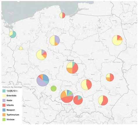 The Mechanisms Involved in the Fluoroquinolone Resistance of Salmonella ...