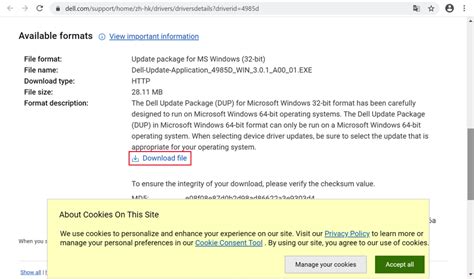 Dell Driver Update Program 的图像结果