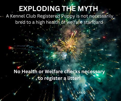 Exploding Puppy 的图像结果