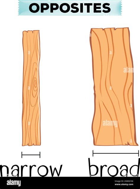 Opposite words for narrow and broad Stock Vector Image & Art - Alamy