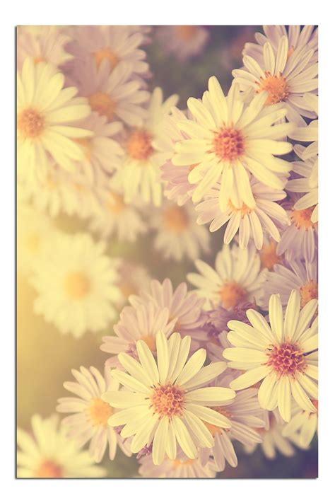 JP London Solvent Free Poster Art Print PAPM2402 Ready to Frame Spring ...