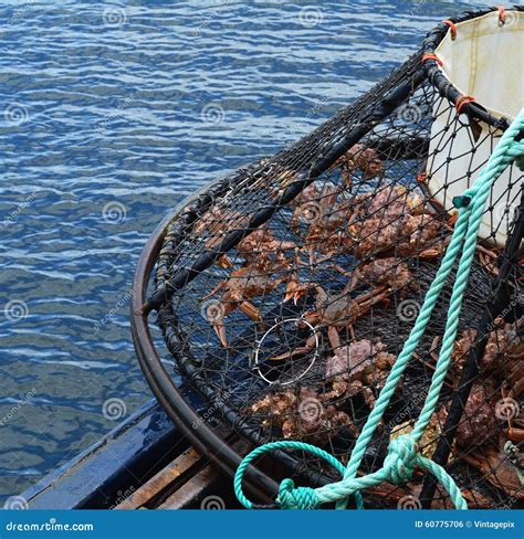 Opilio Crab Fishing in Alaska Stock Photo - Image of fisheries, mesh ...