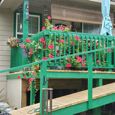 ANIMAL PROTECTION LEAGUE - Longview TX - Hours, Directions, Reviews ...