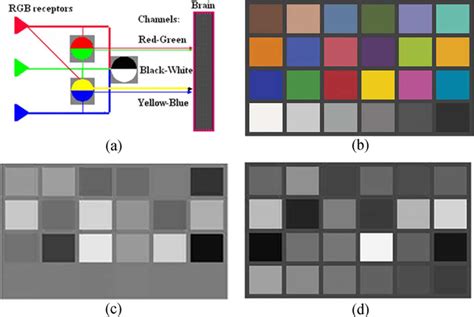 Color Test Computer Screen 的图像结果